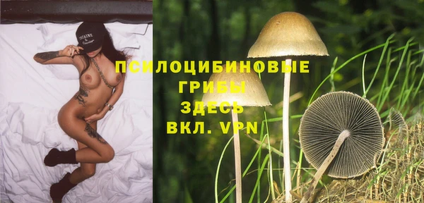 молекула духа Белокуриха
