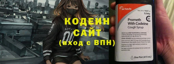 молекула духа Белокуриха