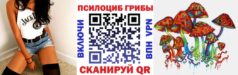 Псилоцибиновые грибы Psilocybine cubensis  где продают   Сунжа 